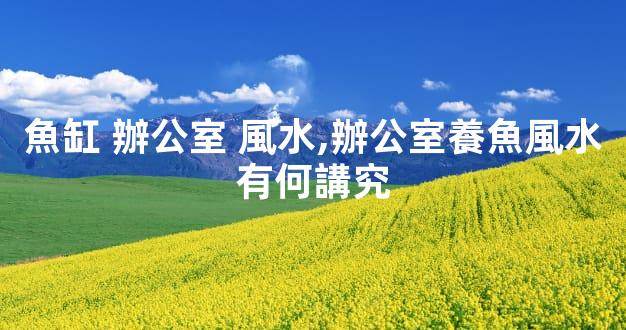 魚缸 辦公室 風水,辦公室養魚風水有何講究